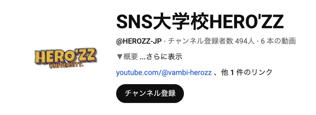 SNS大学校HERO'ZZ